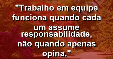 “Trabalho em equipe funciona quando cada um assume responsabilidade, não quando apenas opina.”