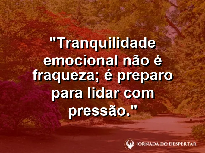 Imagem com frase sobre calma como força no trabalho.