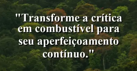 “Transforme a crítica em combustível para seu aperfeiçoamento contínuo.”