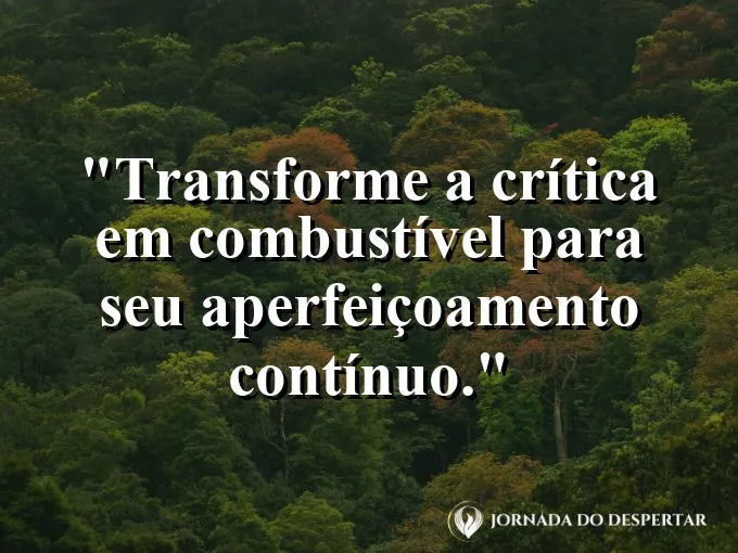 Frase sobre crítica: Transforme a crítica em combustível para seu aperfeiçoamento contínuo.