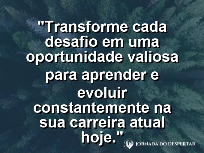 Uma planta verde brotando com força através de uma pequena fenda em um solo de concreto cinza e árido.