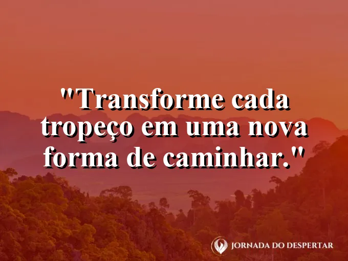 Uma pequena planta brotando ao lado de uma pedra quebrada.