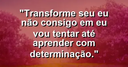 “Transforme seu ‘eu não consigo’ em ‘eu vou tentar até aprender’ com determinação.”