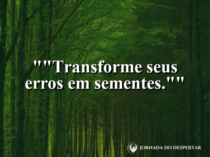 Uma pequena planta brotando entre fendas de um solo seco.