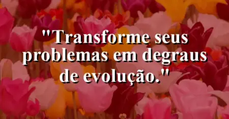 Transforme seus problemas em degraus de evolução.