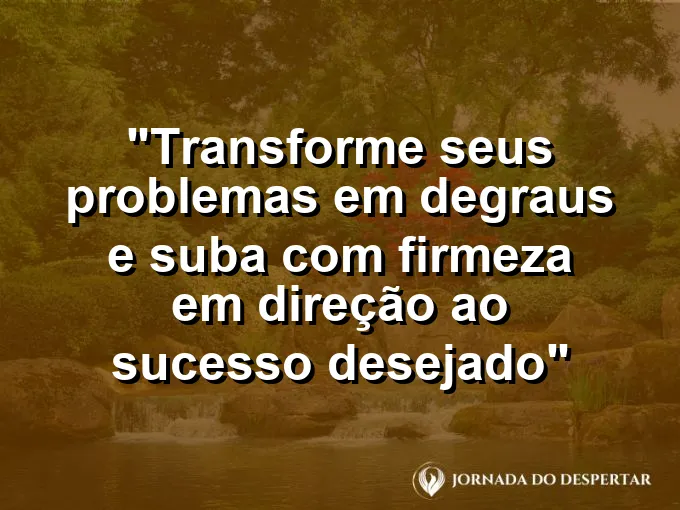 Escada de madeira encostada em uma árvore frutífera sob a luz dourada de uma manhã.