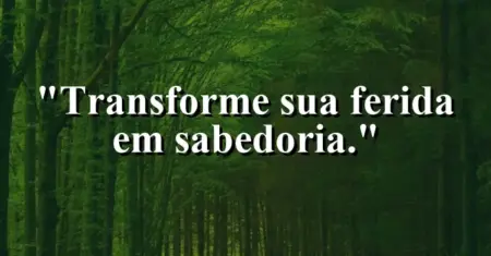 Transforme sua ferida em sabedoria.