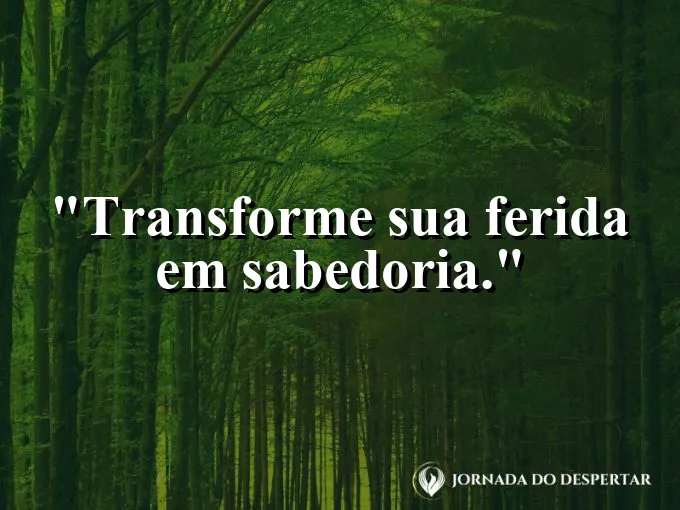 Uma cicatriz em uma árvore que se tornou parte da sua força.