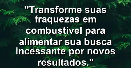 “Transforme suas fraquezas em combustível para alimentar sua busca incessante por novos resultados.”