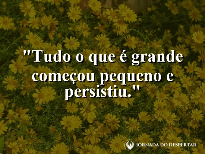 Um pequeno broto de carvalho crescendo em meio a grama.