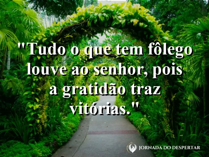 Silhueta de mãos levantadas para o céu estrelado com frase sobre louvar ao Senhor sempre agora.