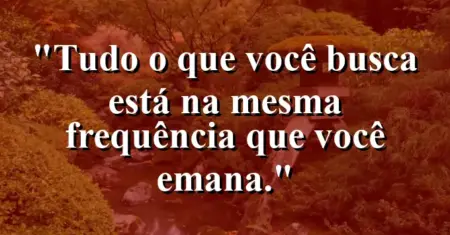 Tudo o que você busca está na mesma frequência que você emana.