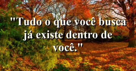 Tudo o que você busca já existe dentro de você.