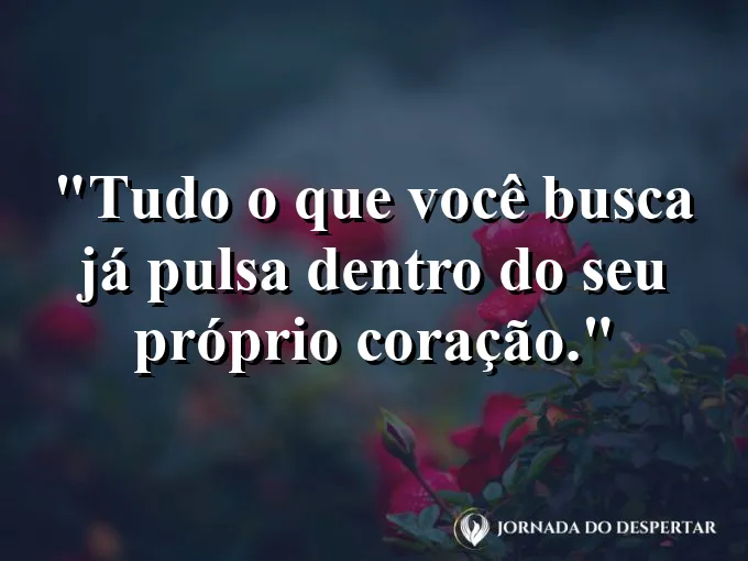 Pessoa de braços abertos no topo de uma colina ensolarada.