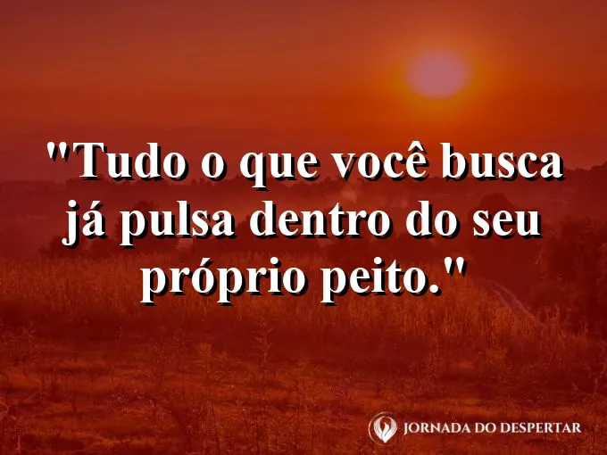 Pessoa de braços abertos no topo de uma montanha ensolarada.
