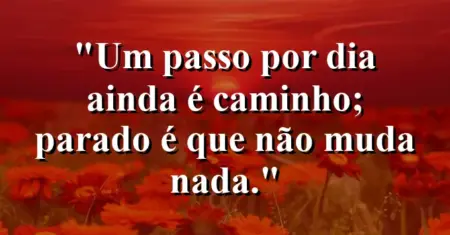 Um passo por dia ainda é caminho; parado é que não muda nada.