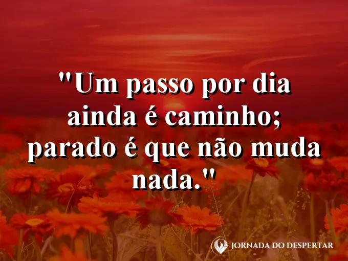 Frase para status: um passo por dia ainda é caminho; parado é que não muda nada.