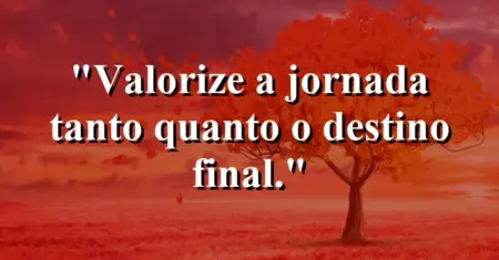 “Valorize a jornada tanto quanto o destino final.”