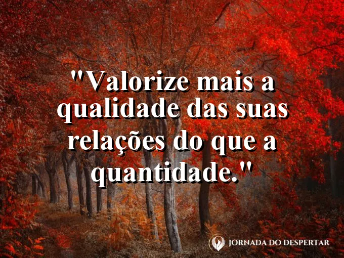 Frase sobre relações: Valorize mais a qualidade das suas relações do que a quantidade.