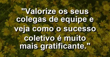 “Valorize os seus colegas de equipe e veja como o sucesso coletivo é muito mais gratificante.”