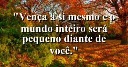 “Vença a si mesmo e o mundo inteiro será pequeno diante de você.”