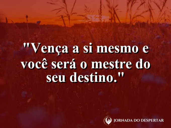 Alguém no topo de uma escada de madeira olhando o horizonte.