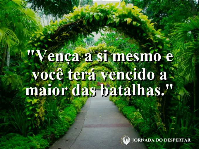 Alguém escalando uma montanha com olhar firme no topo.