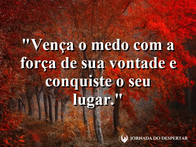 Pessoa escalando um muro alto com o sol atrás e frase sobre medo e vontade.