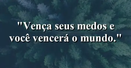 Vença seus medos e você vencerá o mundo.