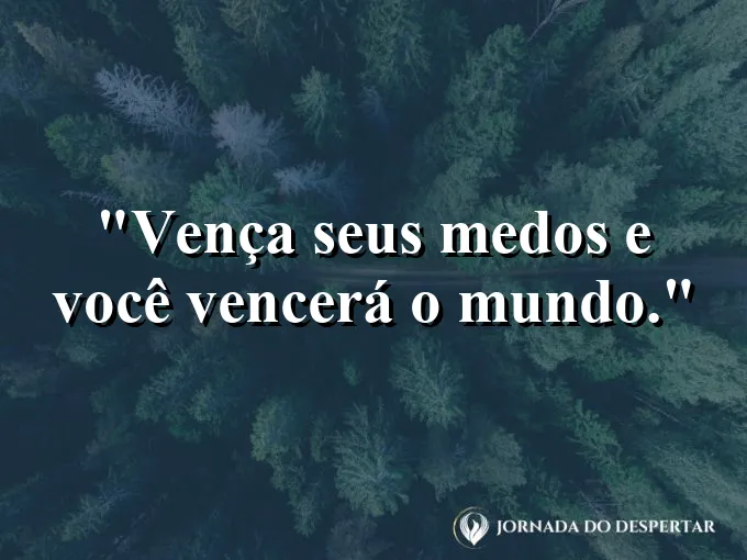 Pessoa atravessando uma ponte de cordas em uma floresta.