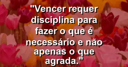 “Vencer requer disciplina para fazer o que é necessário e não apenas o que agrada.”