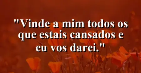 “Vinde a mim todos os que estais cansados e eu vos darei.”