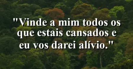 “Vinde a mim todos os que estais cansados e eu vos darei alívio.”