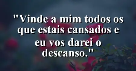 “Vinde a mim todos os que estais cansados e eu vos darei o descanso.”