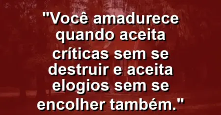 Você amadurece quando aceita críticas sem se destruir e aceita elogios sem se encolher também.