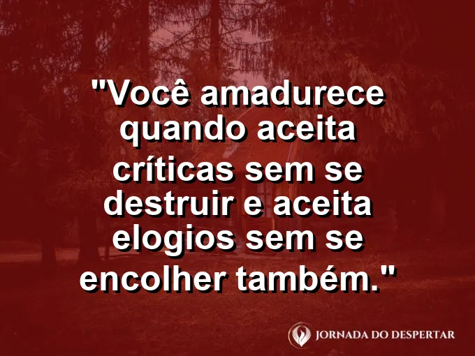 Frase sobre autoconhecimento e autoestima: Você amadurece quando aceita críticas sem se destruir e aceita elogios sem se encolher também.