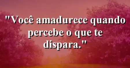 Você amadurece quando percebe o que te dispara.