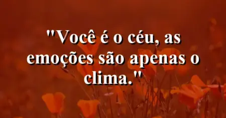 Você é o céu, as emoções são apenas o clima.