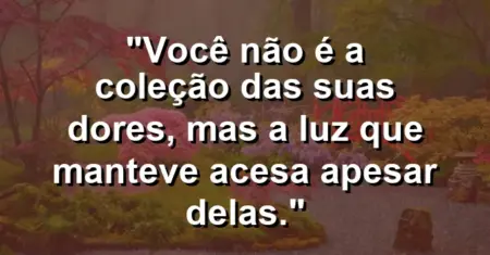 Você não é a coleção das suas dores, mas a luz que manteve acesa apesar delas.
