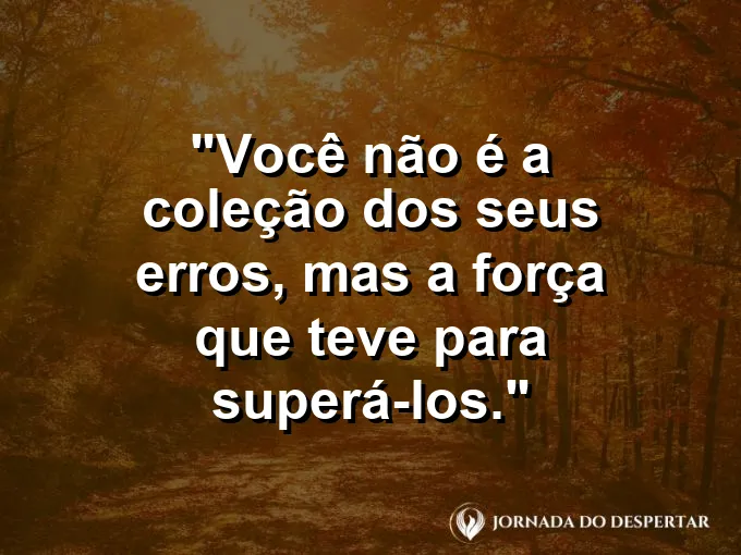 Uma flor de lótus florescendo perfeitamente sobre águas calmas.