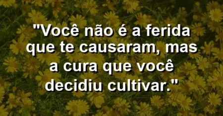 Você não é a ferida que te causaram, mas a cura que você decidiu cultivar.