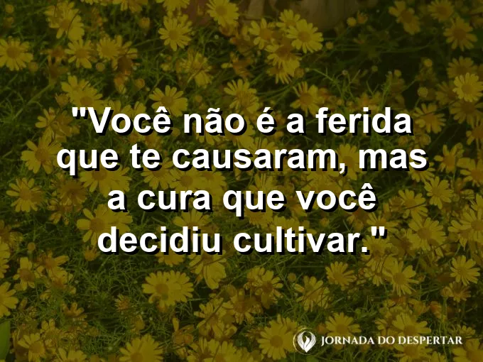 Flor de lótus abrindo-se perfeitamente sobre águas calmas.