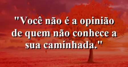 Você não é a opinião de quem não conhece a sua caminhada.