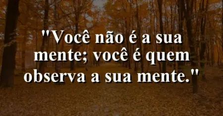 Você não é a sua mente; você é quem observa a sua mente.
