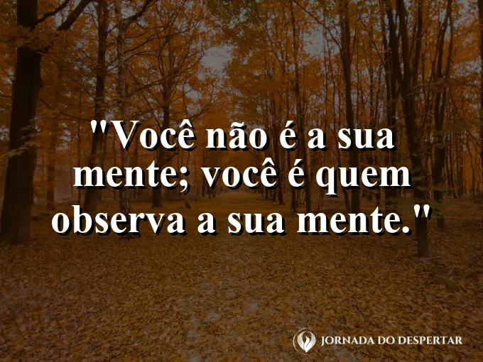Pessoa observando nuvens passarem sentada em um topo de montanha.