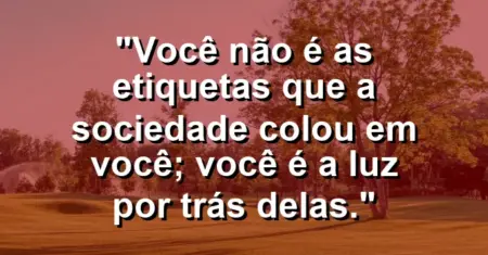 Você não é as etiquetas que a sociedade colou em você; você é a luz por trás delas.