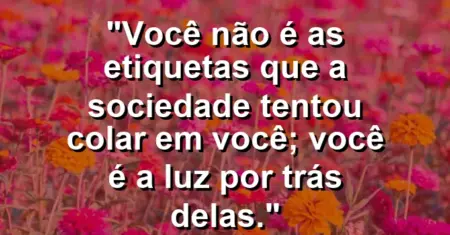 Você não é as etiquetas que a sociedade tentou colar em você; você é a luz por trás delas.