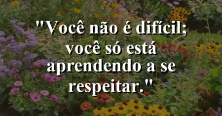 Você não é “difícil”; você só está aprendendo a se respeitar.