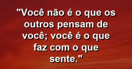 Você não é o que os outros pensam de você; você é o que faz com o que sente.