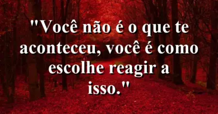 Você não é o que te aconteceu, você é como escolhe reagir a isso.